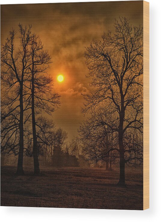 Surrealism Wood Print featuring the photograph Apocalypse Sunrise by Michael Dougherty