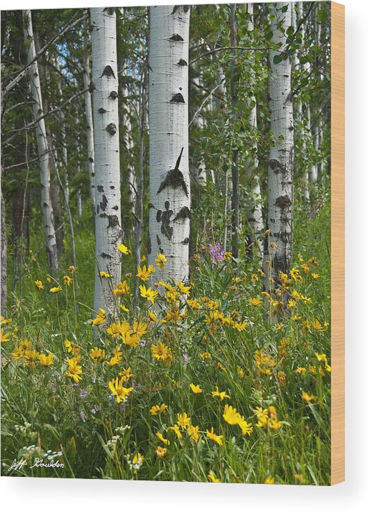 Aspen Wood Print featuring the photograph Aspen Trees and Wildflowers by Jeff Goulden