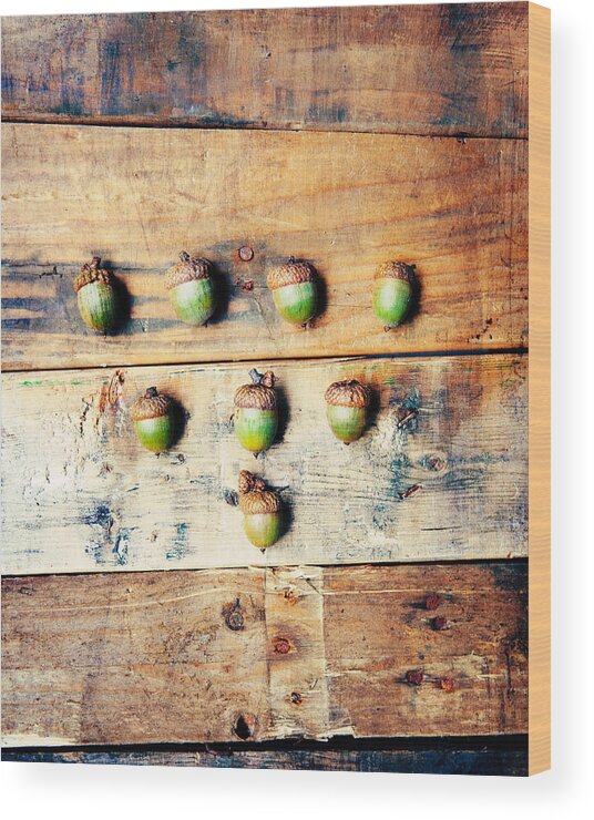 Autumn Wood Print featuring the photograph Autumn Acorns by Kim Fearheiley