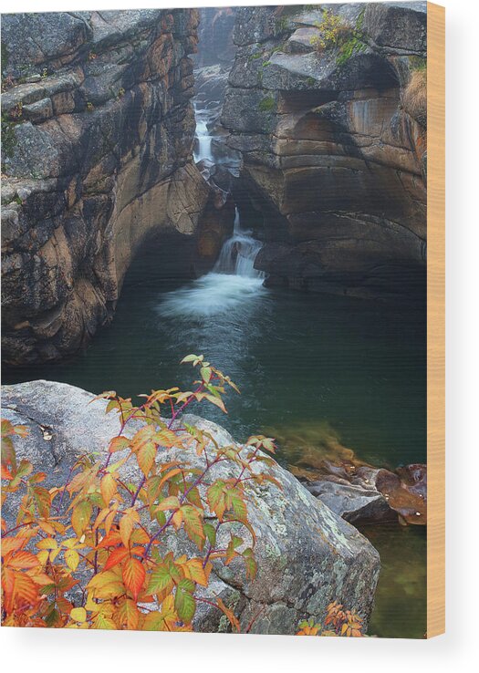 Autumn Colors Wood Print featuring the photograph Autumn at the Grotto by Jim Garrison