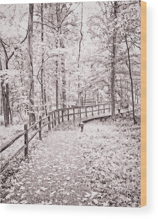Autumn At Mammoth Cave National Park B/w Wood Print featuring the photograph Autumn at Mammoth Cave National Park b/w by Greg Jackson