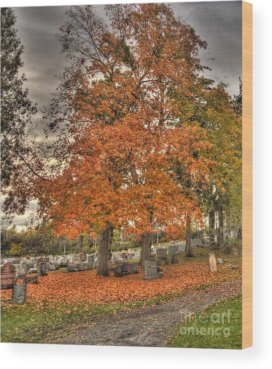 Foliage Wood Print featuring the photograph Autumn Delight by Jim Lepard