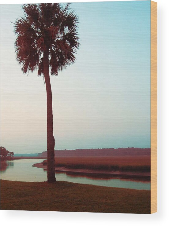 Landscape Wood Print featuring the photograph Bailey's Palm by Edward Shmunes
