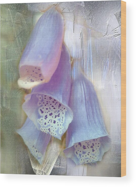 Foxglove Wood Print featuring the photograph Bells by Davina Nicholas