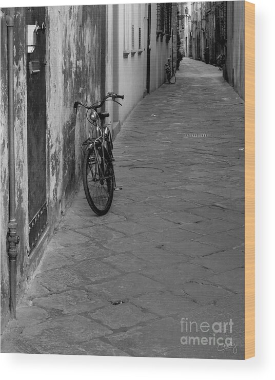 Bicycle In Lucca Wood Print featuring the photograph Bicycle in Lucca by Prints of Italy