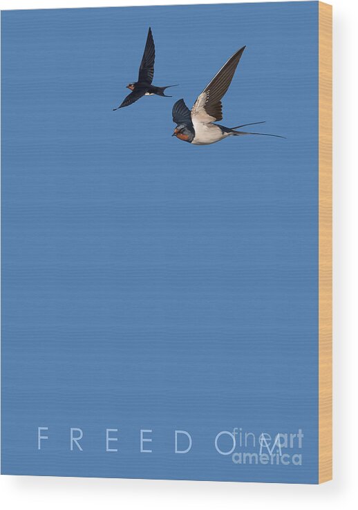 Illustration Wood Print featuring the drawing Blue Series 002 Freedom by Rob Snow