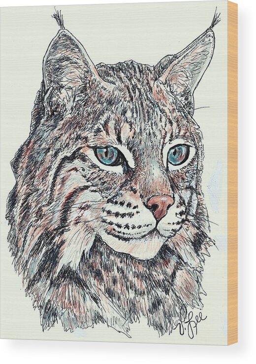 Big Cat Wood Print featuring the drawing Bobcat Portrait by VLee Watson