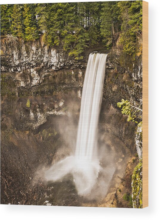 Brandywine Fall Provincial Park Wood Print featuring the photograph Brandywine Falls by James Wheeler