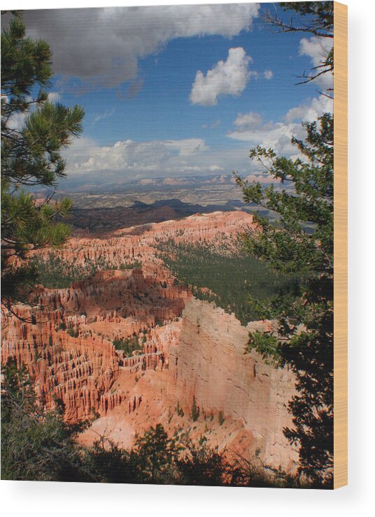 Utah Wood Print featuring the photograph Bryce Canyon by Jon Emery