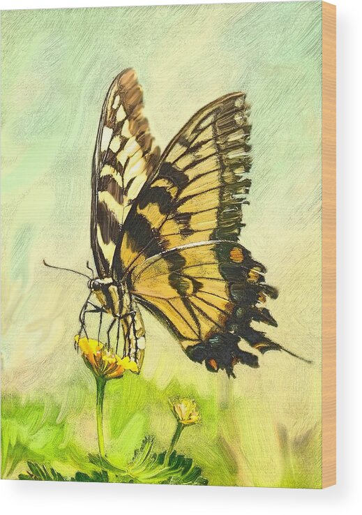 Butterfly Wood Print featuring the photograph Butterfly Collection by Pete Rems