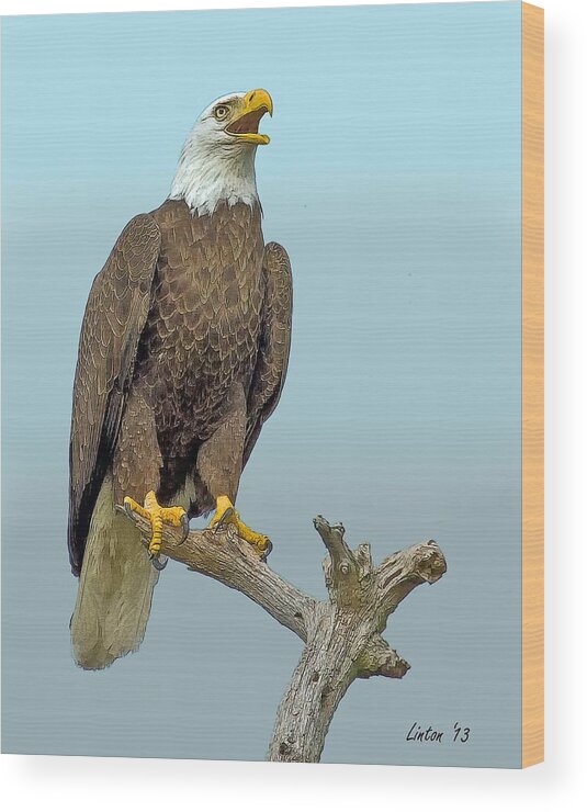 American Bald Eagle Wood Print featuring the digital art Calling Eagle 2 by Larry Linton