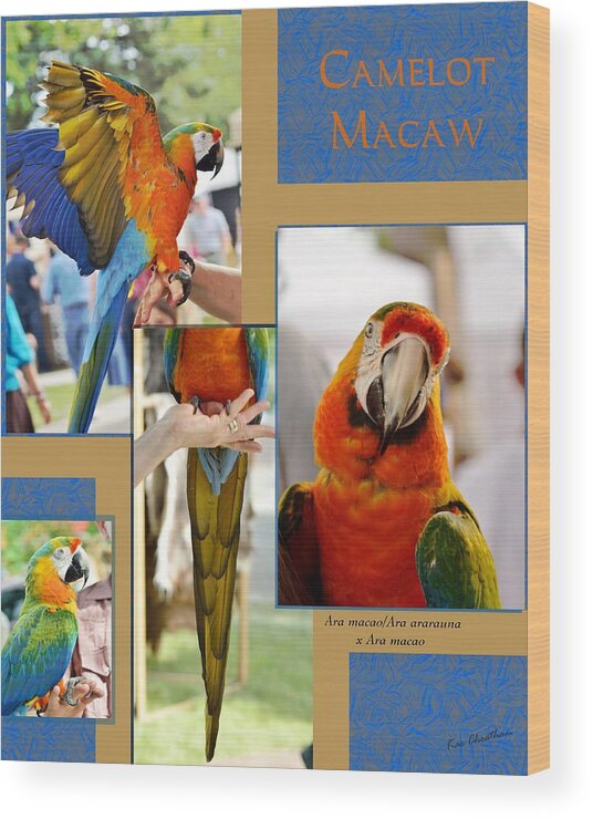 Camelot Wood Print featuring the digital art Camelot Macaw Poster by Kae Cheatham