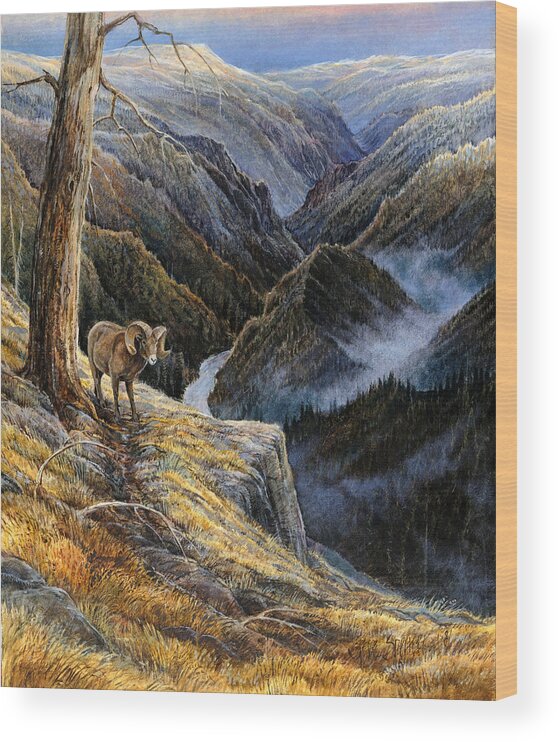 Bighorn Sheep Wood Print featuring the painting Canyon Solitude by Steve Spencer