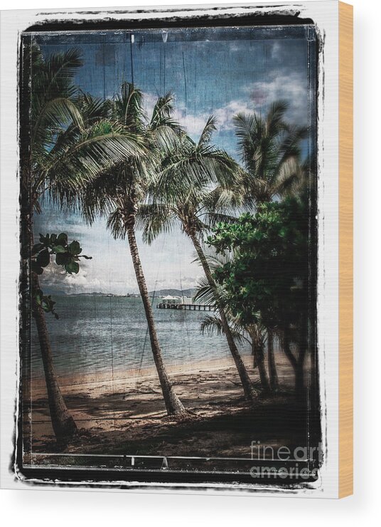 Townsville Wood Print featuring the photograph Classic Beach by Perry Webster