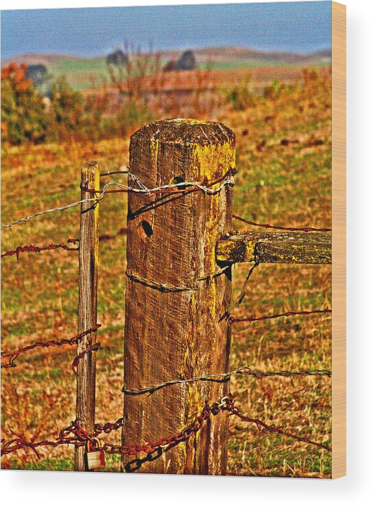 Pasture Wood Print featuring the digital art Corner Post at Gate by Joseph Coulombe