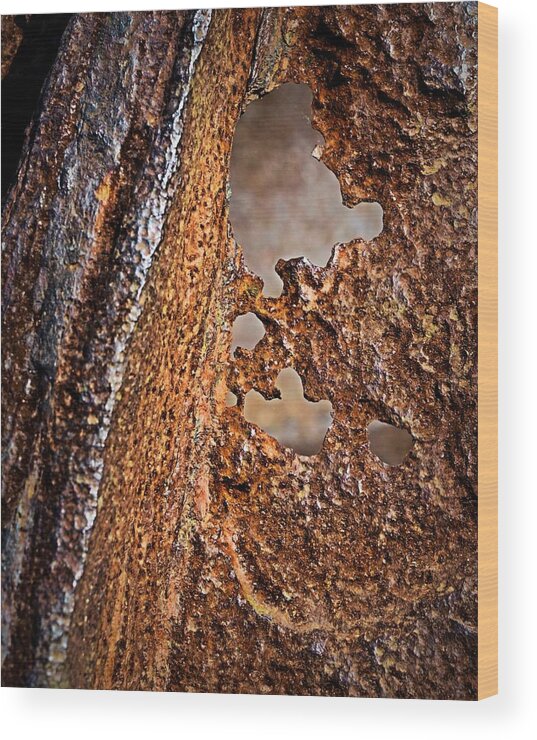 Rust Wood Print featuring the photograph Corrosion by Nadalyn Larsen