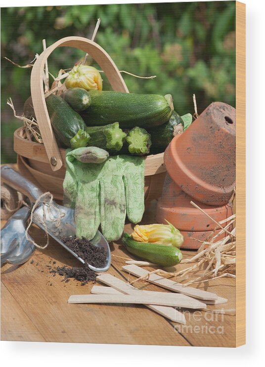 Courgettes Wood Print featuring the photograph Courgette Basket With Garden Tools by Amanda Elwell