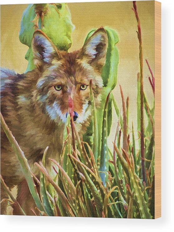 Coyote Wood Print featuring the painting Coyote In The Aloe by David Wagner