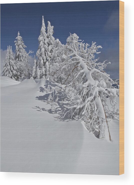 Crater Lake Wood Print featuring the photograph Crater Lake Trees 2 by Todd Kreuter