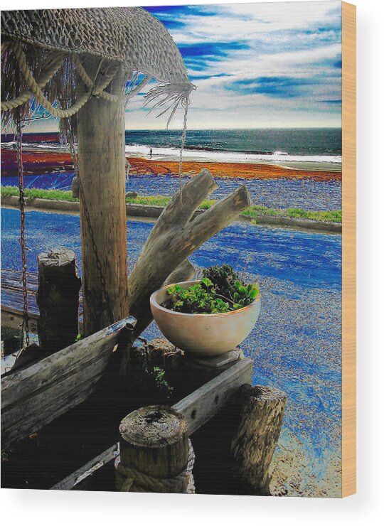 Creative Wood Print featuring the digital art Crystal Cove Laguna Beach by David Murphy
