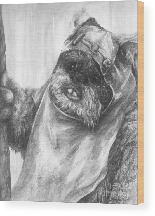 Wicket Wood Print featuring the drawing Curious Wicket by Meagan Visser
