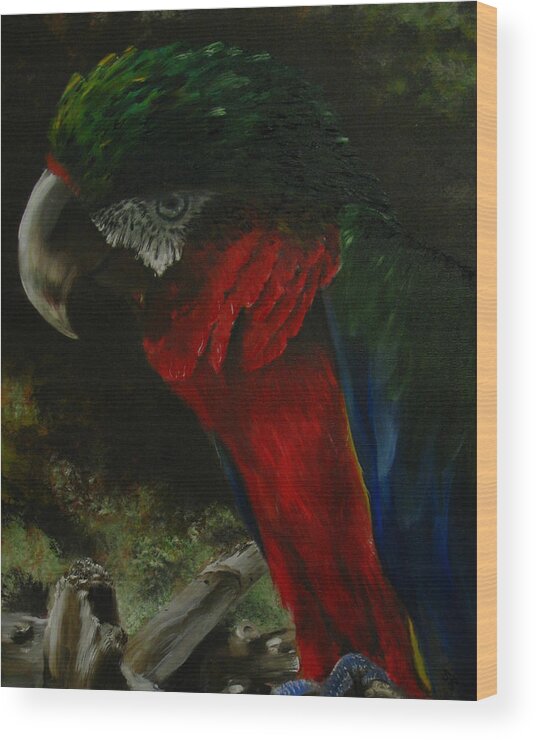 Bird Wood Print featuring the painting Curtis the Parrot by Sherry Robinson