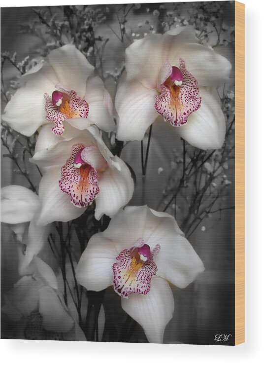 Flowers Wood Print featuring the photograph Cymbidium Orchid White I Still Life Flower Art Poster by Lily Malor