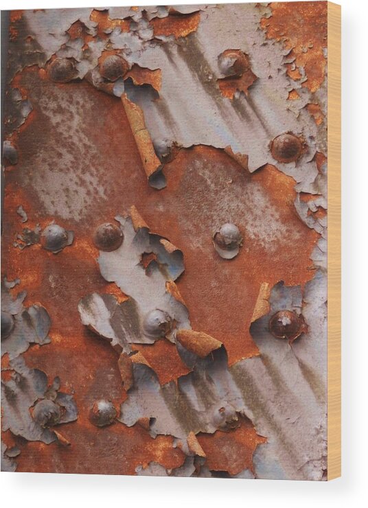 Rust Photographs Wood Print featuring the photograph Dance of the Rust by Charles Lucas