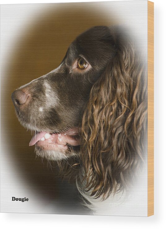 Dog Wood Print featuring the photograph Dougie The Cocker Spaniel 2 by Linsey Williams