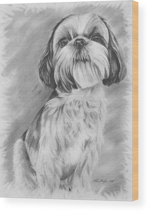 Graphite Wood Print featuring the drawing Drawing of a Shih Tzu by Lena Auxier