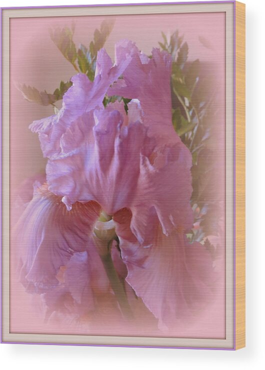 Pink Wood Print featuring the photograph Exotic Iris by Kay Novy