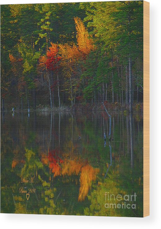 Fall Wood Print featuring the photograph Fall Beauty by Donna Brown
