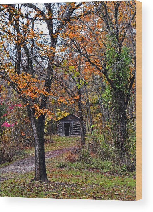 Fall Colors Wood Print featuring the photograph Fall Homestead by Marty Koch