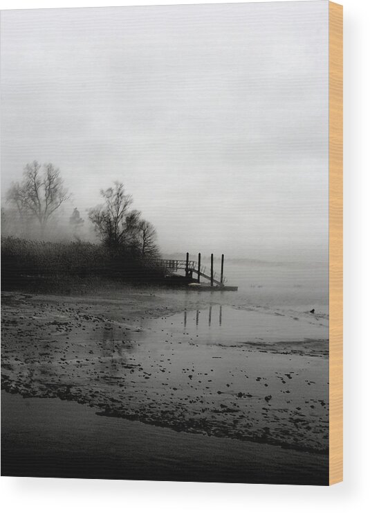 Harbor Wood Print featuring the photograph Foggy Pier in January by Margie Avellino