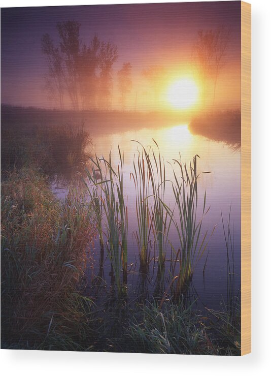 Creek Wood Print featuring the photograph Foggy Sunrise by Ray Mathis