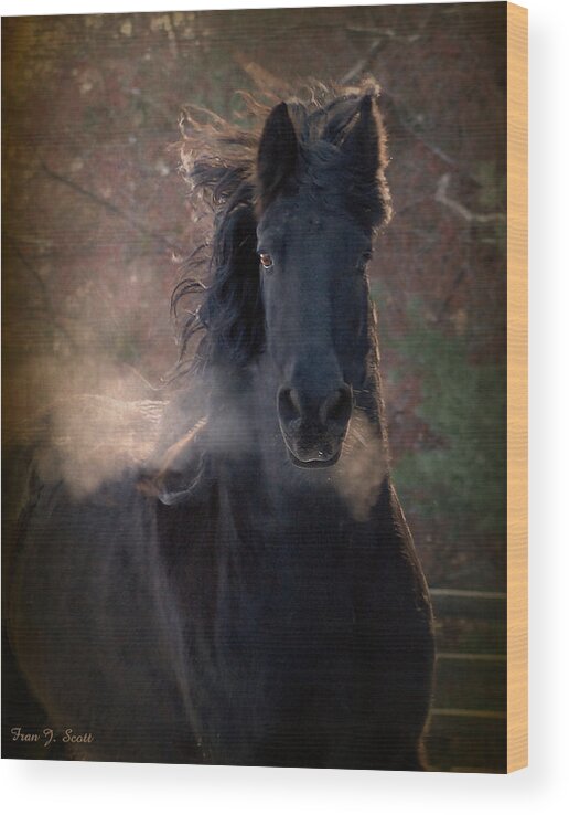 Horses Wood Print featuring the photograph Frost by Fran J Scott