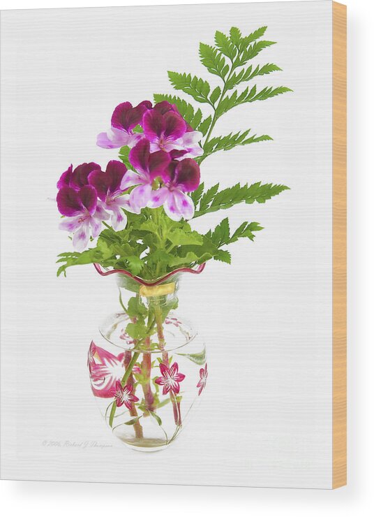 Color Wood Print featuring the photograph Geranium 'Witchwood' by Richard J Thompson 