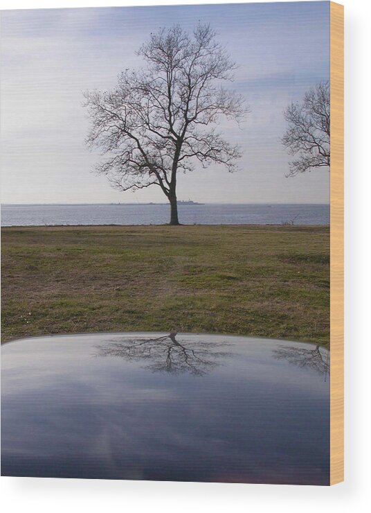 Tree Wood Print featuring the photograph Ghost House In The Sky At Sandy Hook by Gary Slawsky