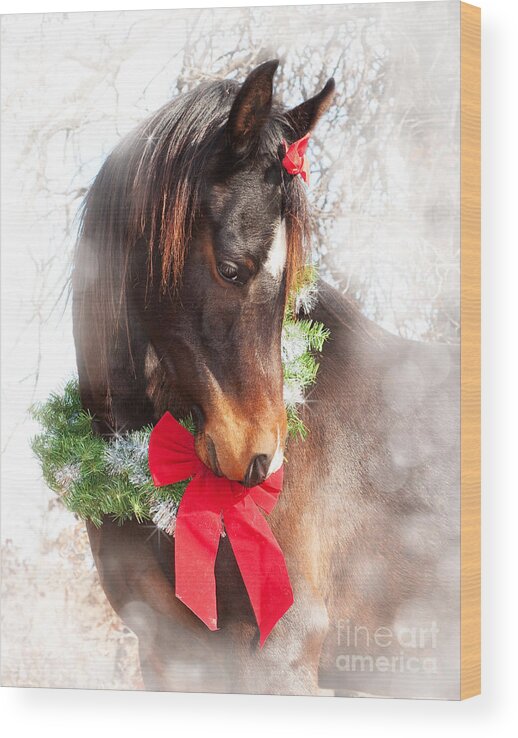 Cute Wood Print featuring the photograph Gift Horse by Sari ONeal