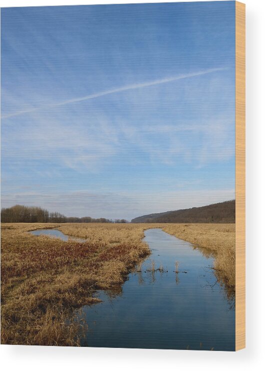 Marsh Wood Print featuring the photograph Golden January by Azthet Photography