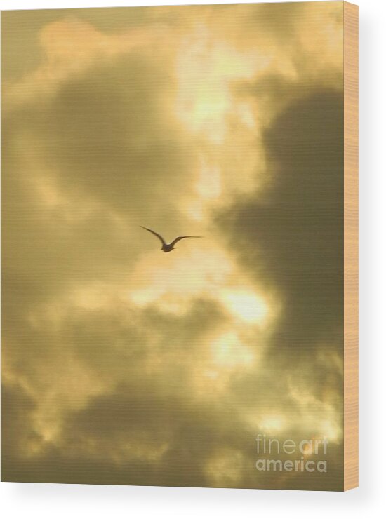 Birds Wood Print featuring the photograph Golden Sky by Gallery Of Hope 