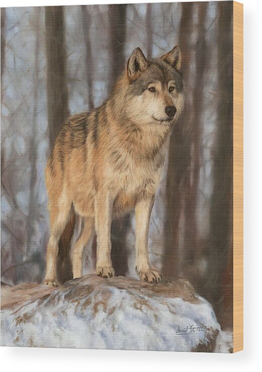 Wolf Wood Print featuring the painting Grey Wolf by David Stribbling