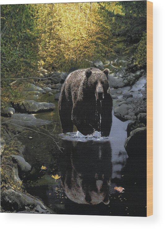 Grizzly Bear Wood Print featuring the drawing Grizzly Reflection by Brent Ander