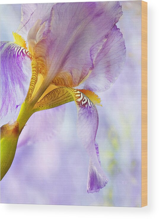 Floral Wood Print featuring the photograph Heavenly Iris 2 by Theresa Tahara