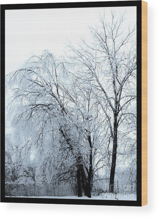 Photo Wood Print featuring the photograph Heavy Ice Tree Redo by Marsha Heiken