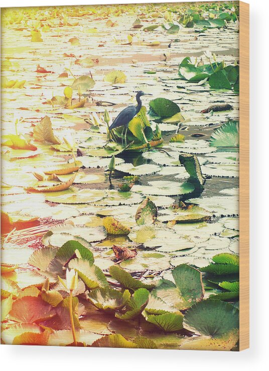 Florida Wood Print featuring the photograph Heron Among Lillies Photography Light Leaks by Chris Andruskiewicz