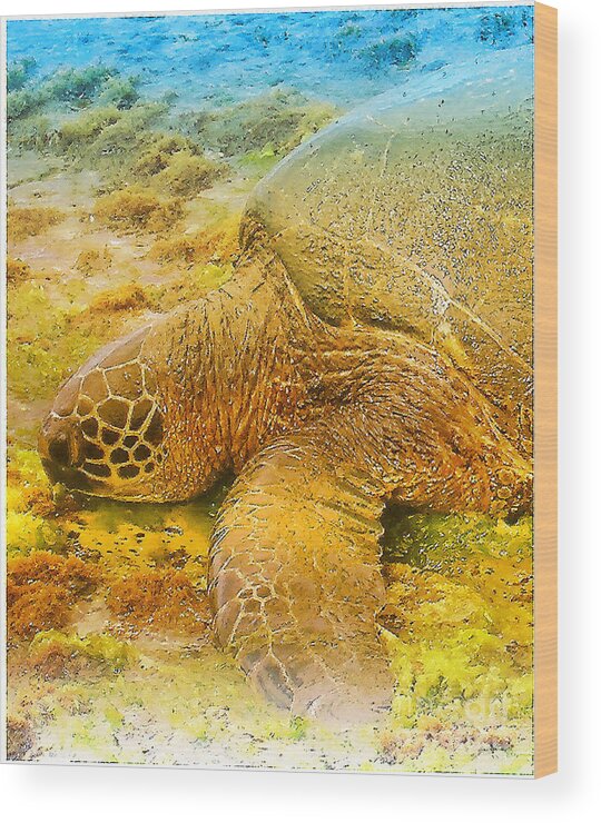 Hawaii Wood Print featuring the digital art Honu Sea Turtle by Dorlea Ho