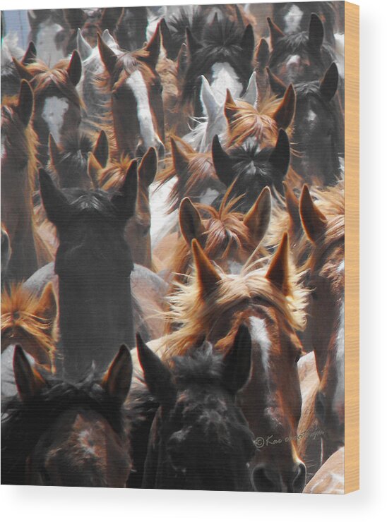 Horses Wood Print featuring the photograph Horse Ears by Kae Cheatham