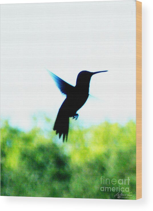 Hummingbird Wood Print featuring the digital art Hummingbird Hover by Lizi Beard-Ward