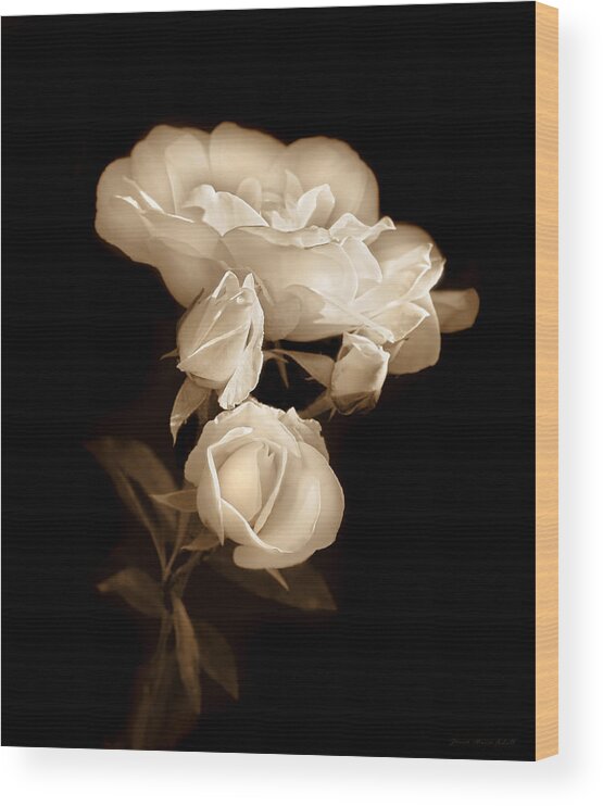 Rose Wood Print featuring the photograph Ivory Roses in the Moonlight Sepia by Jennie Marie Schell